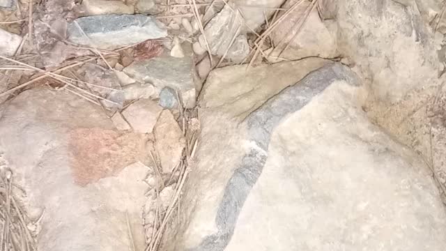 Black markings on rocks