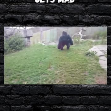 When the Quiet Guy Gets Mad