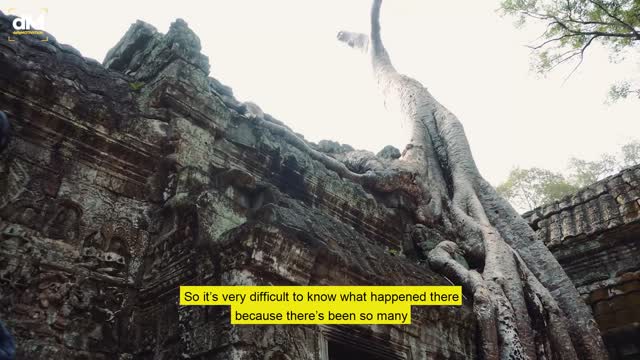 Everything you have been told is a lie!