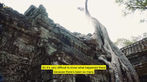 Everything you have been told is a lie!