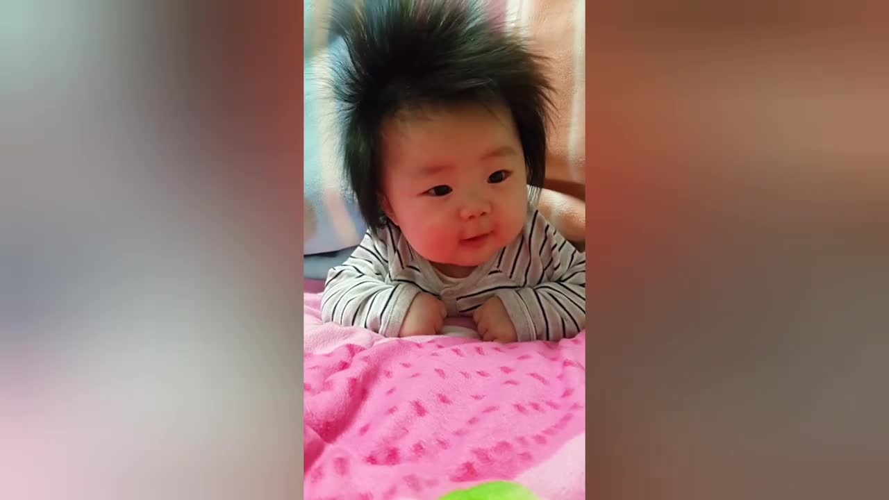 laughing in funny baby videos