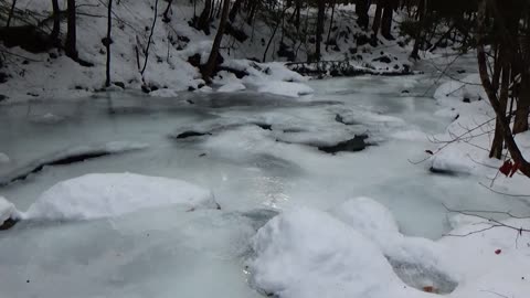 Frozen River