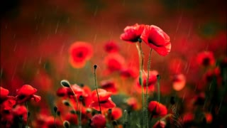 relax music # meditation music # calming music # raining music