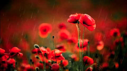 relax music # meditation music # calming music # raining music