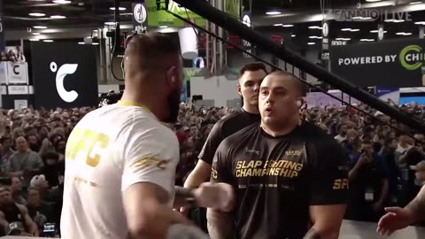 The Hardest slaps from slap Fighting Championship