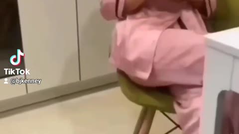 Funny Animal Video!!