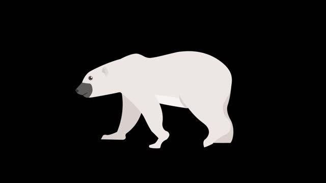 simple flat painting Windmast animal polar bear mg animation