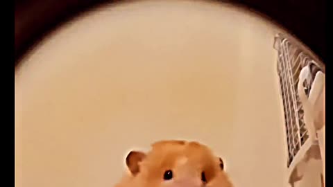 Cute 😘❤️
