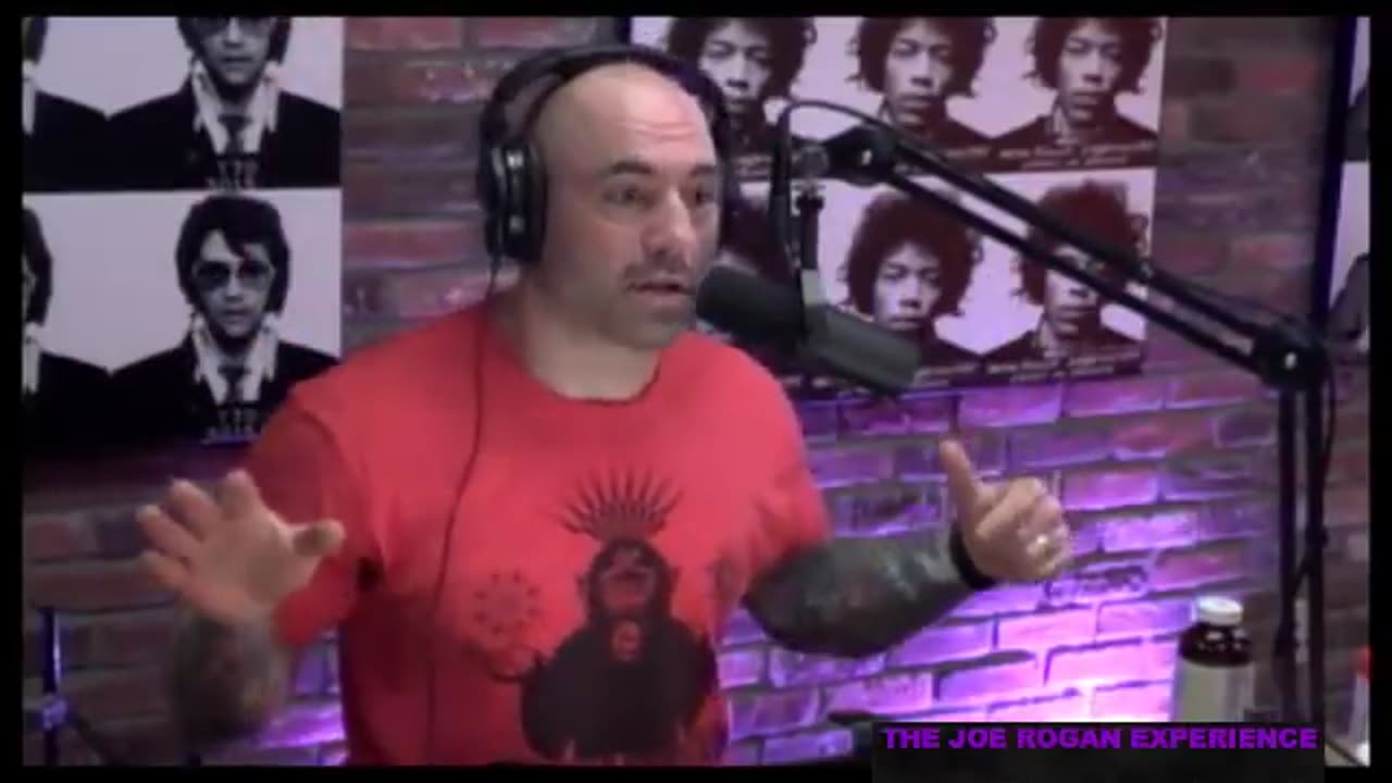 Joe Rogan Experience #512 - Dan Savage.MP4