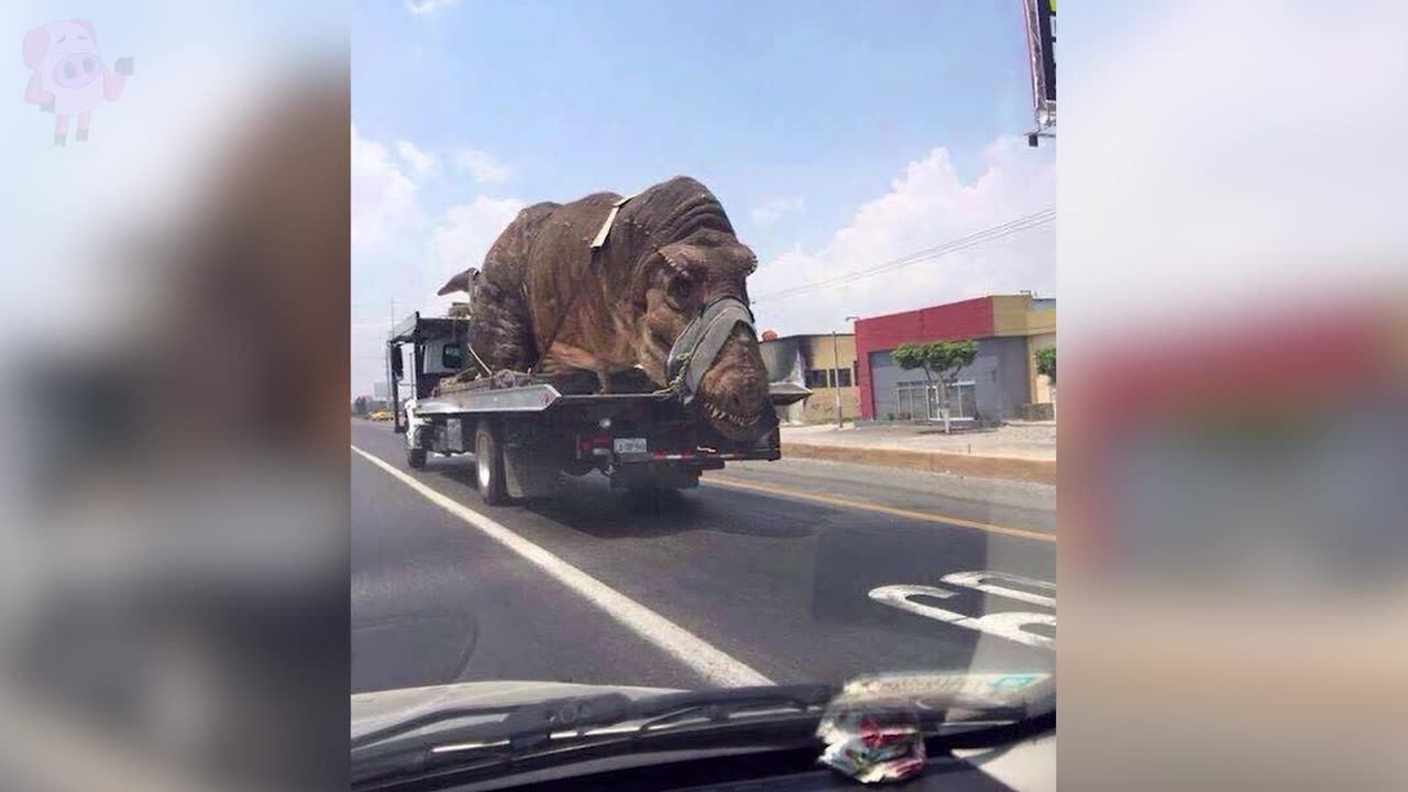 20 Weird Photos That Will Make You Do a Double Take
