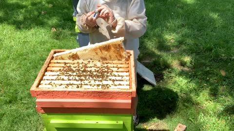 June 20, 2020-I LOVE HONEY!