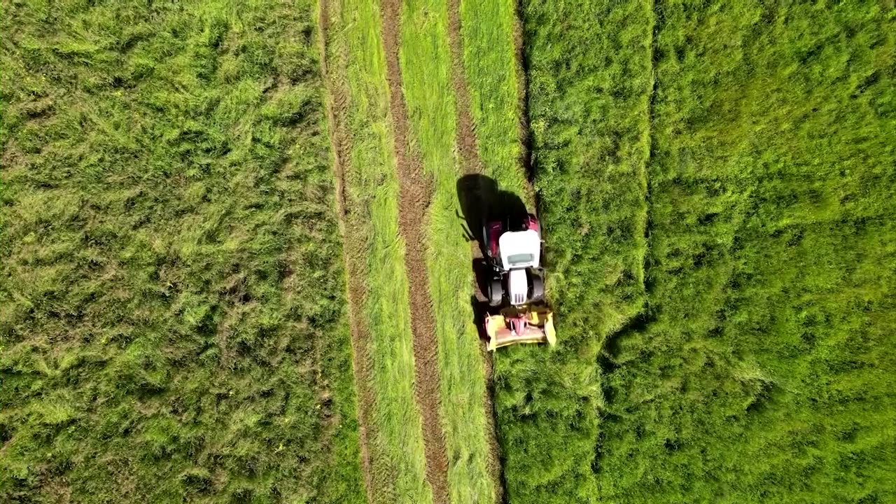 Swiss farmers use drones to help protect fawns