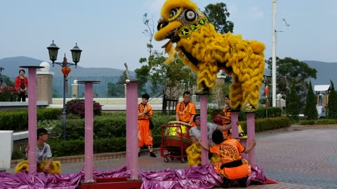 An impressive display of lion dancing, which is a tradition with its roots in martial arts