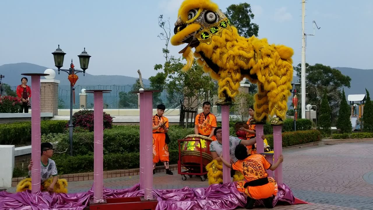 An impressive display of lion dancing, which is a tradition with its roots in martial arts