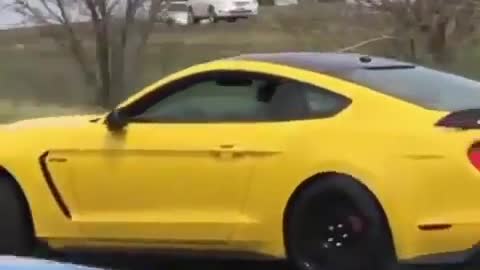 244 Ford Mustang Shelvy GT 52 V8 exhaust sound