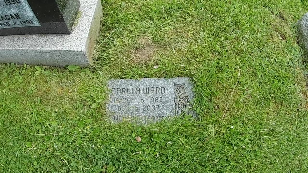 Walking Moncton - Elmwood Cemetery