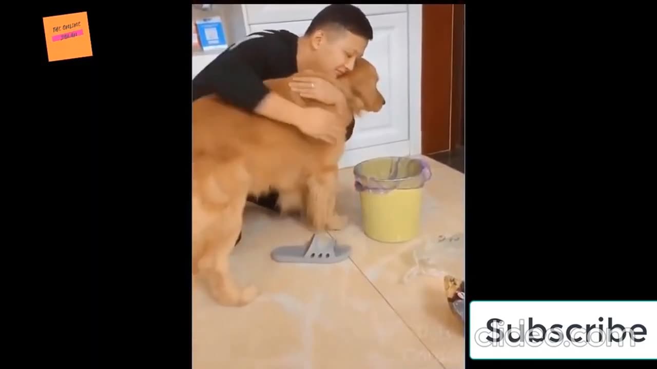funny animals with humans