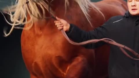 How much better than it is it to get