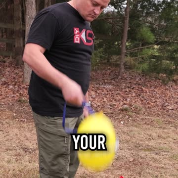 What Has More Bite Force a Prong Collar or Teeth?