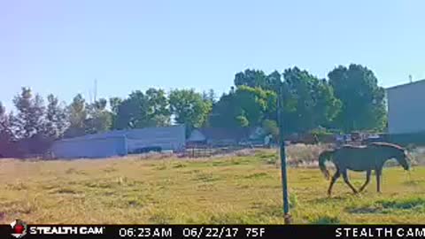 1st Stealth Cam Test Video