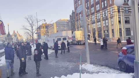 Ottawa Freedom Convoy 2022 walking in -30 degrees celcius