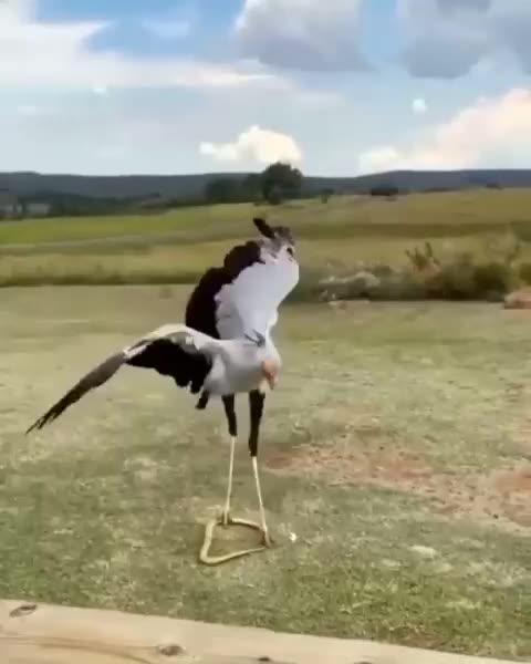 SUCCESS GOD'S WAY - DAILY DEVOTIONAL ❤️