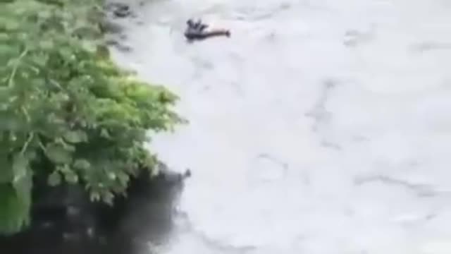 HORSE STONE HYDROELETRIC BRAZIL.