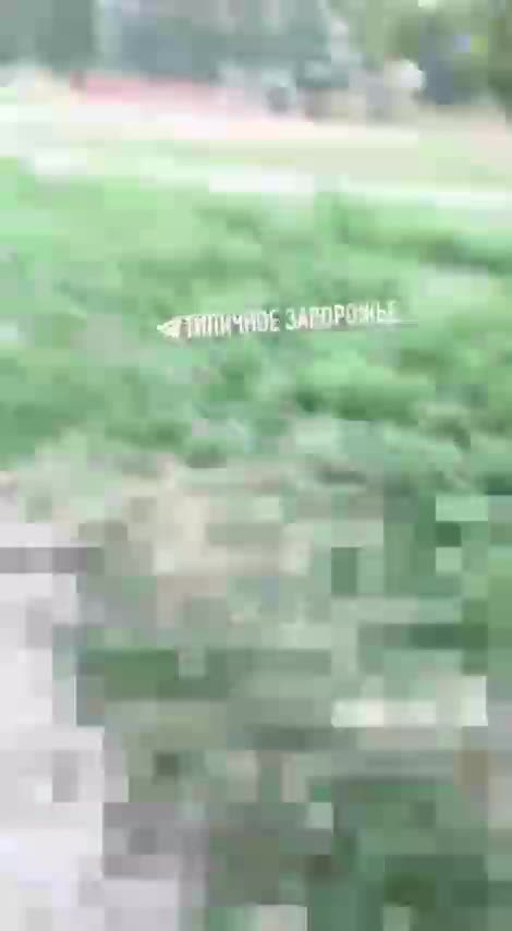 Zaporozhie_10.08.2023