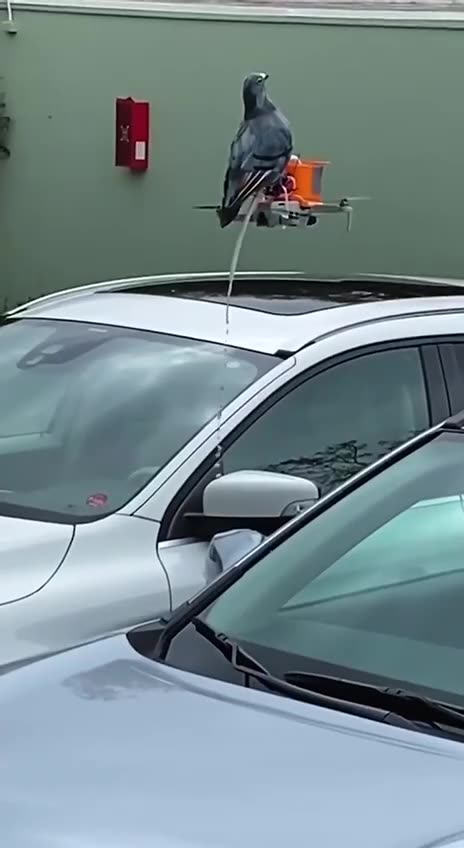 My Next Project 🤣