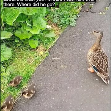 Should Have Mentioned The Kids