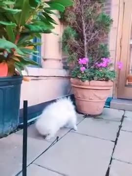 Hw8czmKvqVdoBKcxkfoJcd