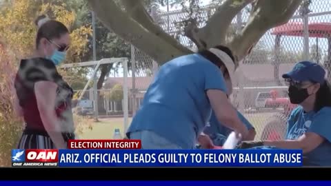 Trump Won Arizona: Ariz. official pleads guilty to felony ballot abuse