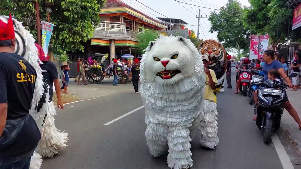 Arak-arakan barongsai viral