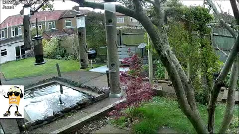 increasing value garden walk