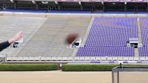 MrBeast Great video