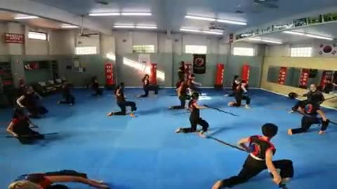 Hapkido