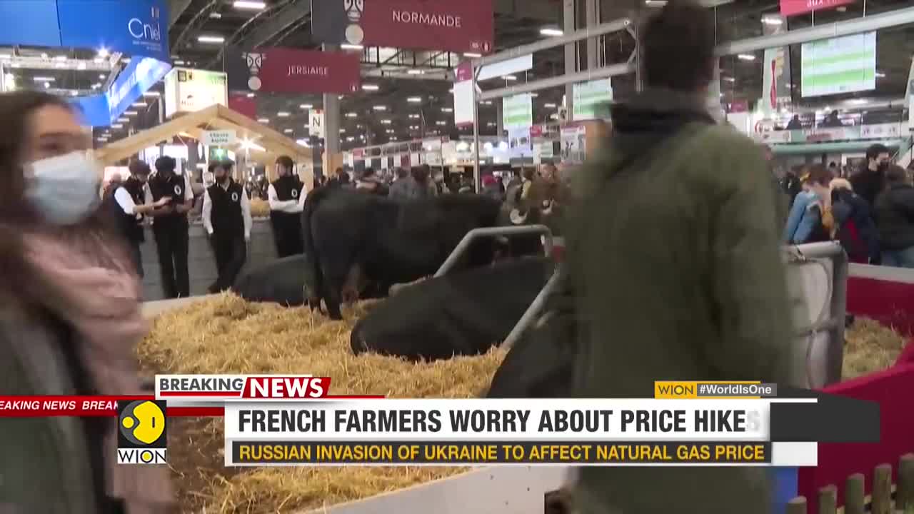 Impact of Russian invasion of Ukraine_ French farmers worry about fertilizers pr