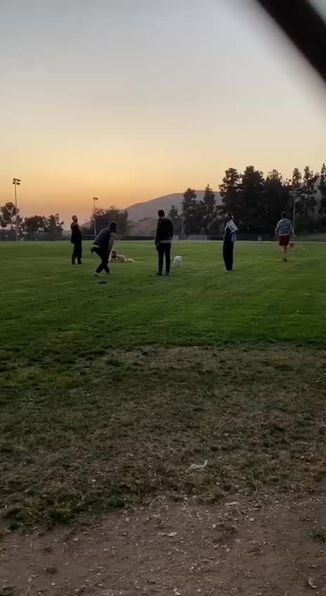 muzzled humans buying into the lies