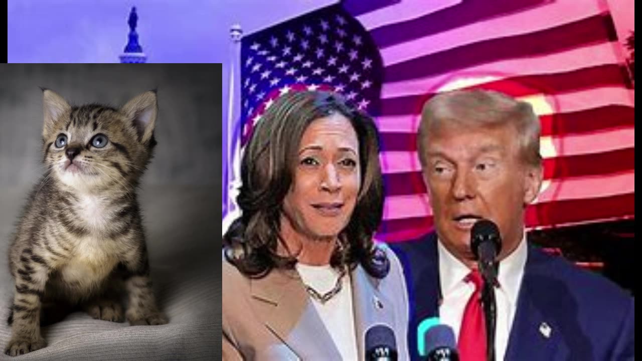 TRUMP DESTROYED KAMALA