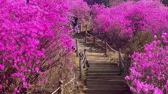 Beautiful scenery. Come and have a look