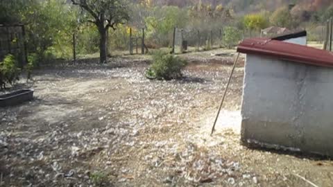 Village Views