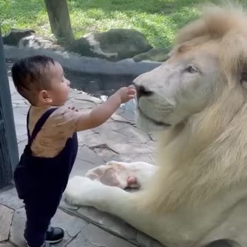 OMG! LITTLE BOY TOUCHING THE LOIN .