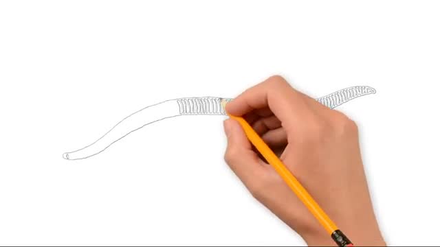 How to Draw 'Earthworm' pencil drawing step by step_Cut