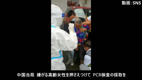 中国当局、嫌がる高齢女性を押さえつけて、PCR検査の採取を