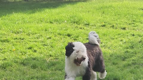 Jen and George :: Ball in Montana