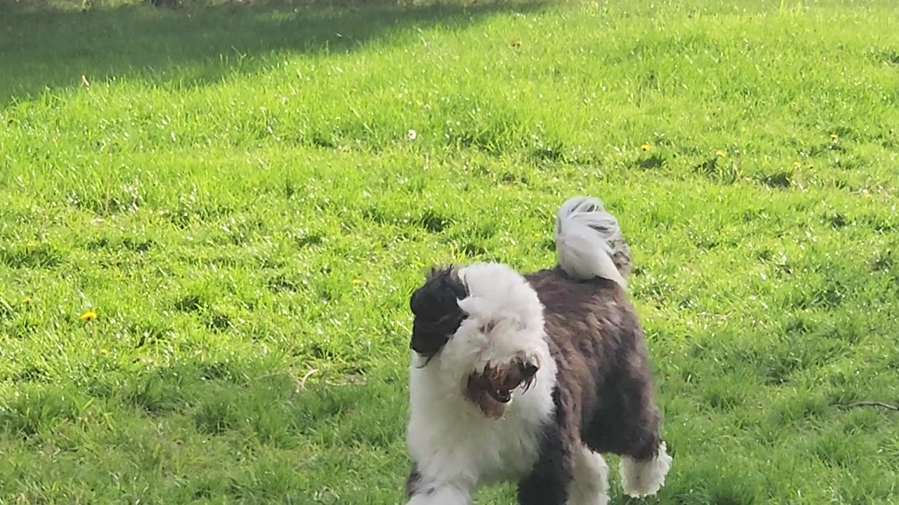 Jen and George :: Ball in Montana