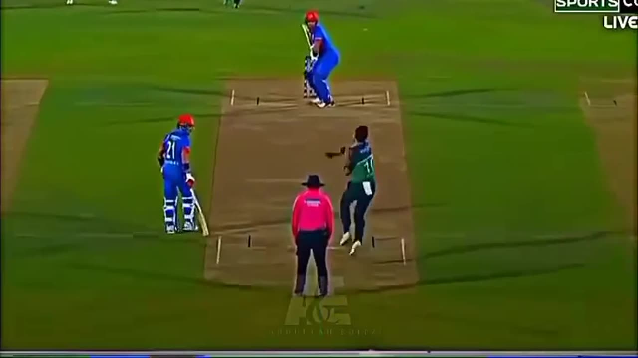 Pak vs Afg 2023