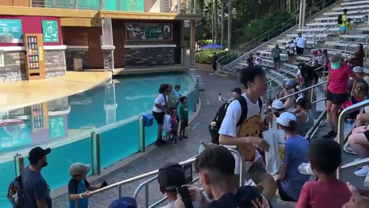 Non-Stop Laughs! Hilarious Tom the Mime at SeaWorld Orlando