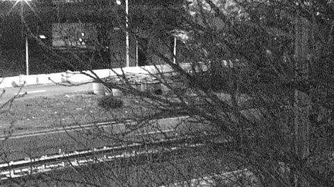 4405LOTS00Lot8-9East_2021-01-06_00h30min28s653ms.mp4