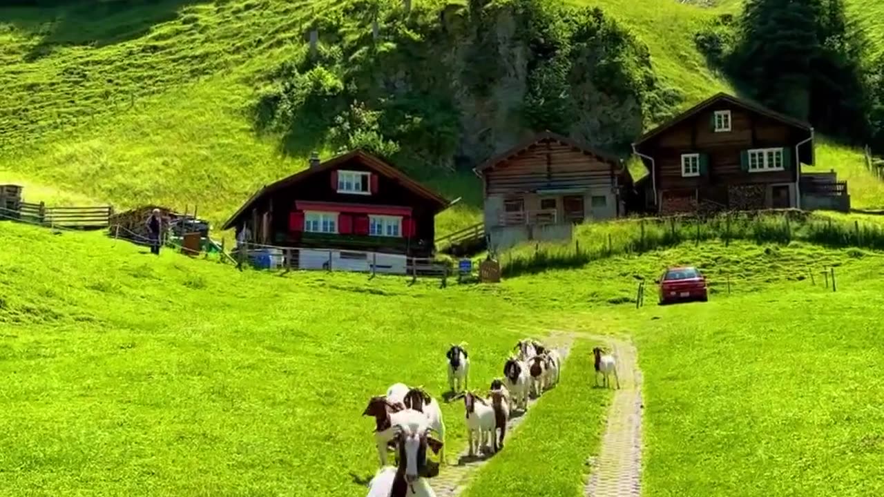 Beauty Of Switzerland